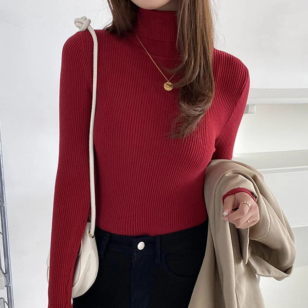 SoftFlex Turtleneck Knit Top