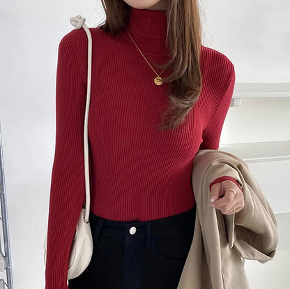 SoftFlex Turtleneck Knit Top