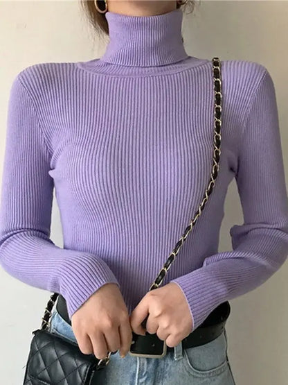 SoftFlex Turtleneck Knit Top