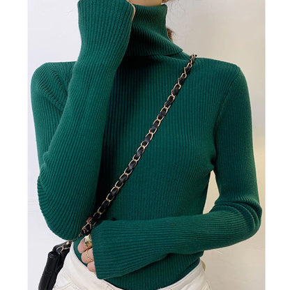 SoftFlex Turtleneck Knit Top