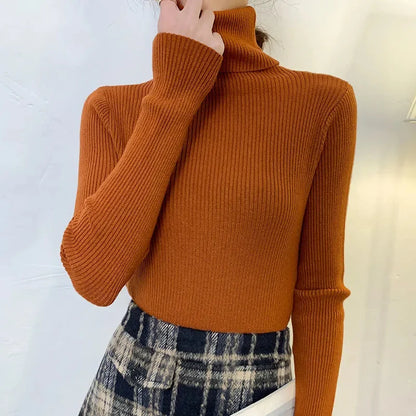 SoftFlex Turtleneck Knit Top