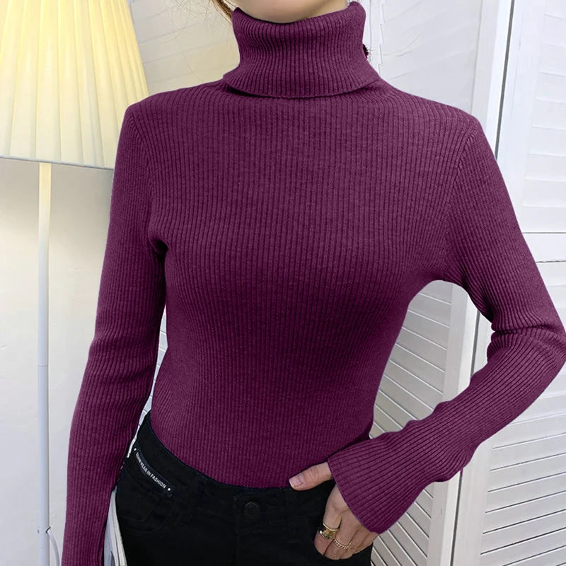 SoftFlex Turtleneck Knit Top