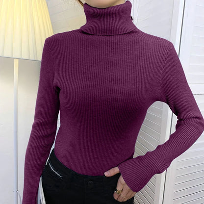 SoftFlex Turtleneck Knit Top