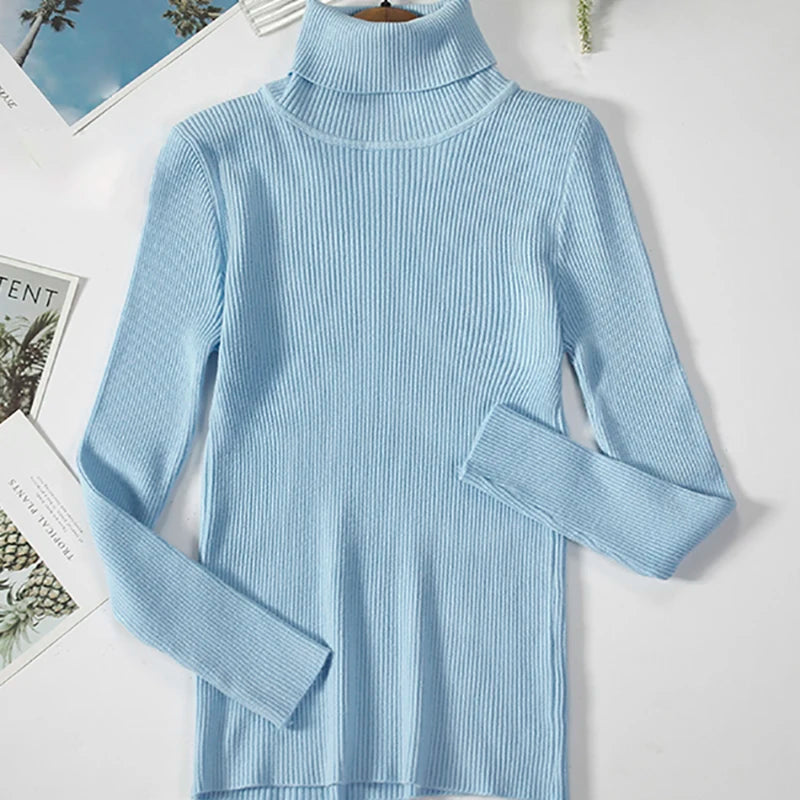SoftFlex Turtleneck Knit Top